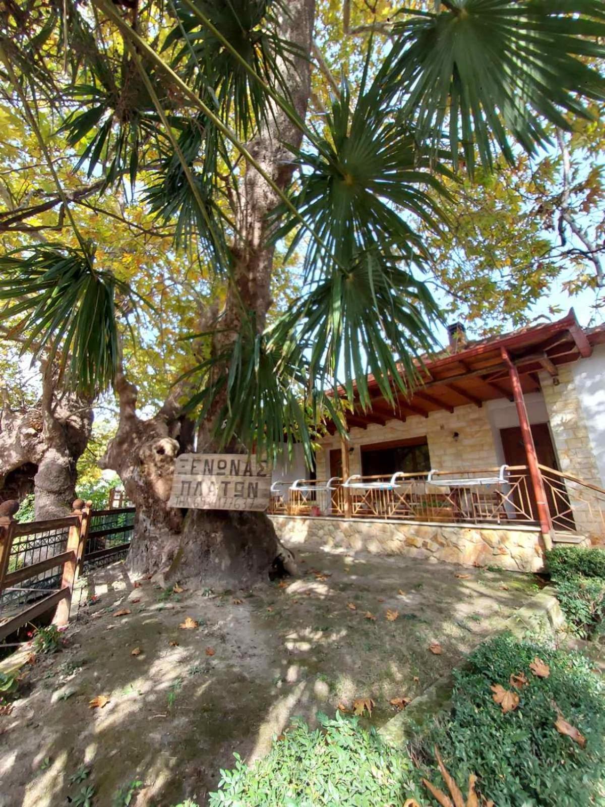 Guesthouse Platon Órma Exterior foto